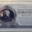 Johann Reinhold Forster tablica pamiatkowa